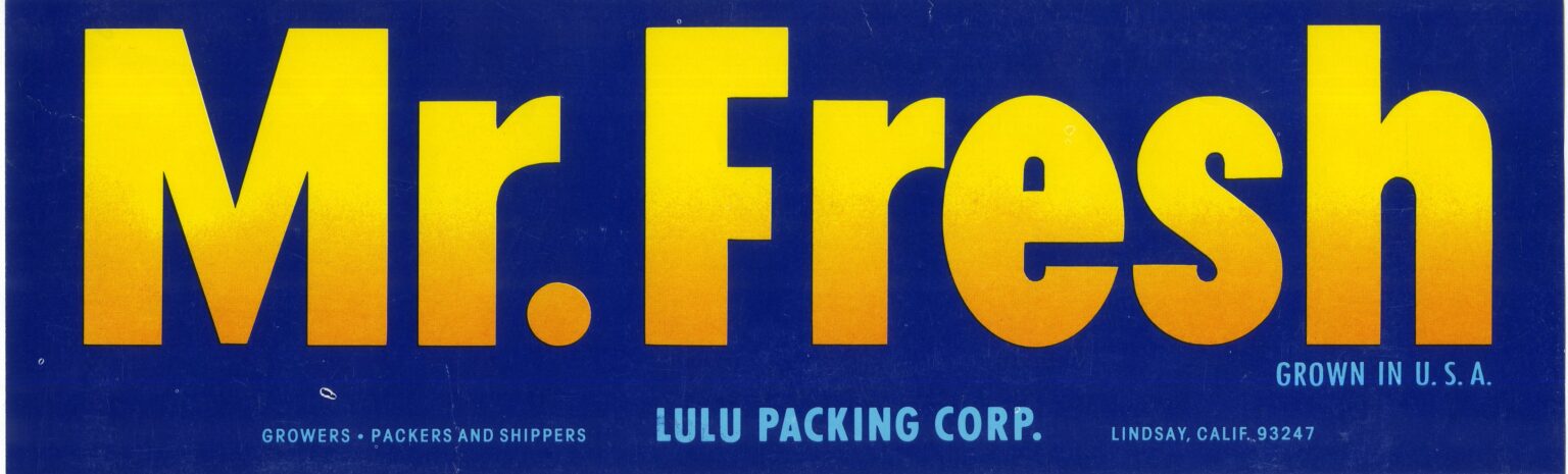 Mr. Fresh Mr. Fresh